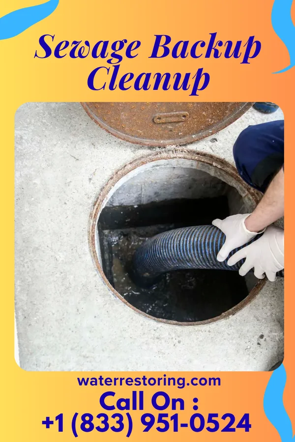 Sewage Backup Cleanup in Prairie Home, MO
