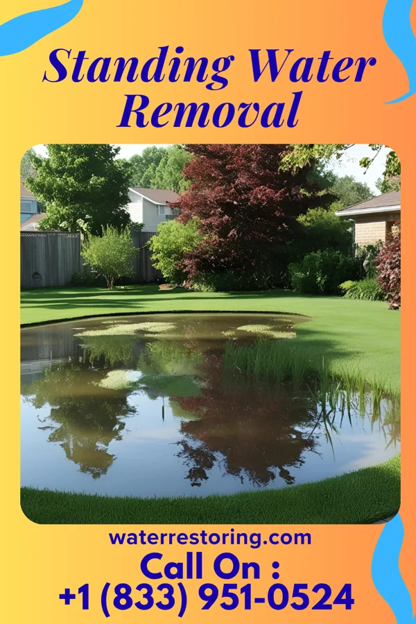 Standing Water Removal in Prairie Home, MO